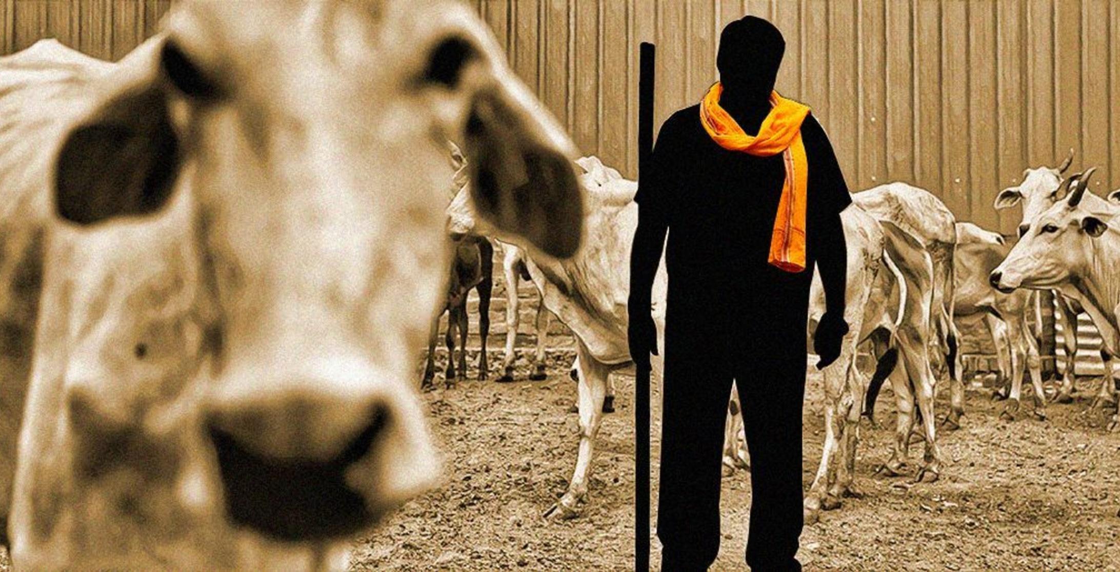 cow_vigilantismrelated_mob_lynching_is_now_a_crime_in_madhya_pradesh_accused_to_get_5_years_in_jai_1561630507